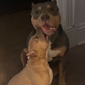 Meet your Posher, Joseph